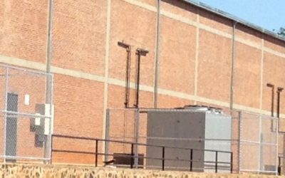 Reducción de costos en el secado de granos: el rol clave de la refrigeración artificial