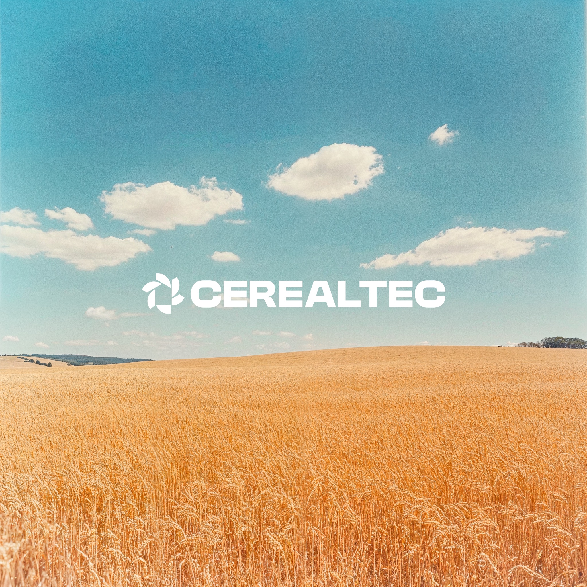 Campo de trigo y logo Cerealtec