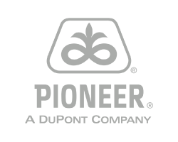 Pioner