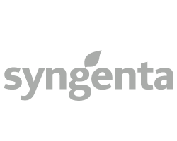 Synenta