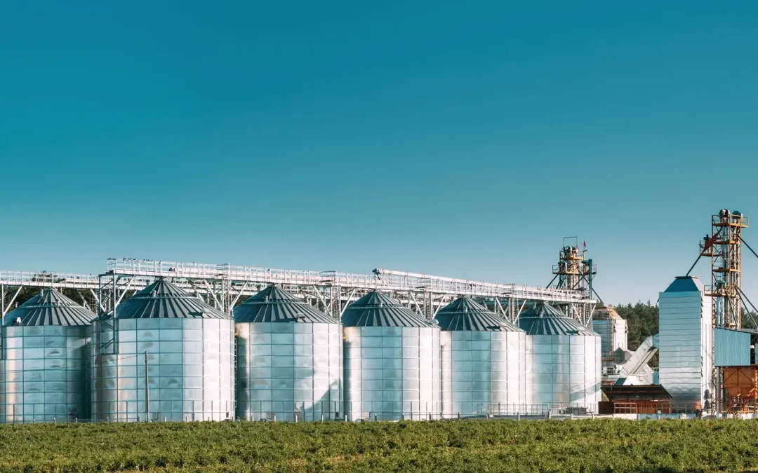 Amplia vista de un moderno complejo industrial de silos metálicos para almacenamiento y secado de grano, con una estructura de procesamiento adyacente y un campo verde en primer plano bajo un cielo azul claro.